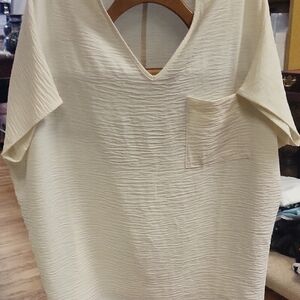 Elegant Cream V-Neck Top